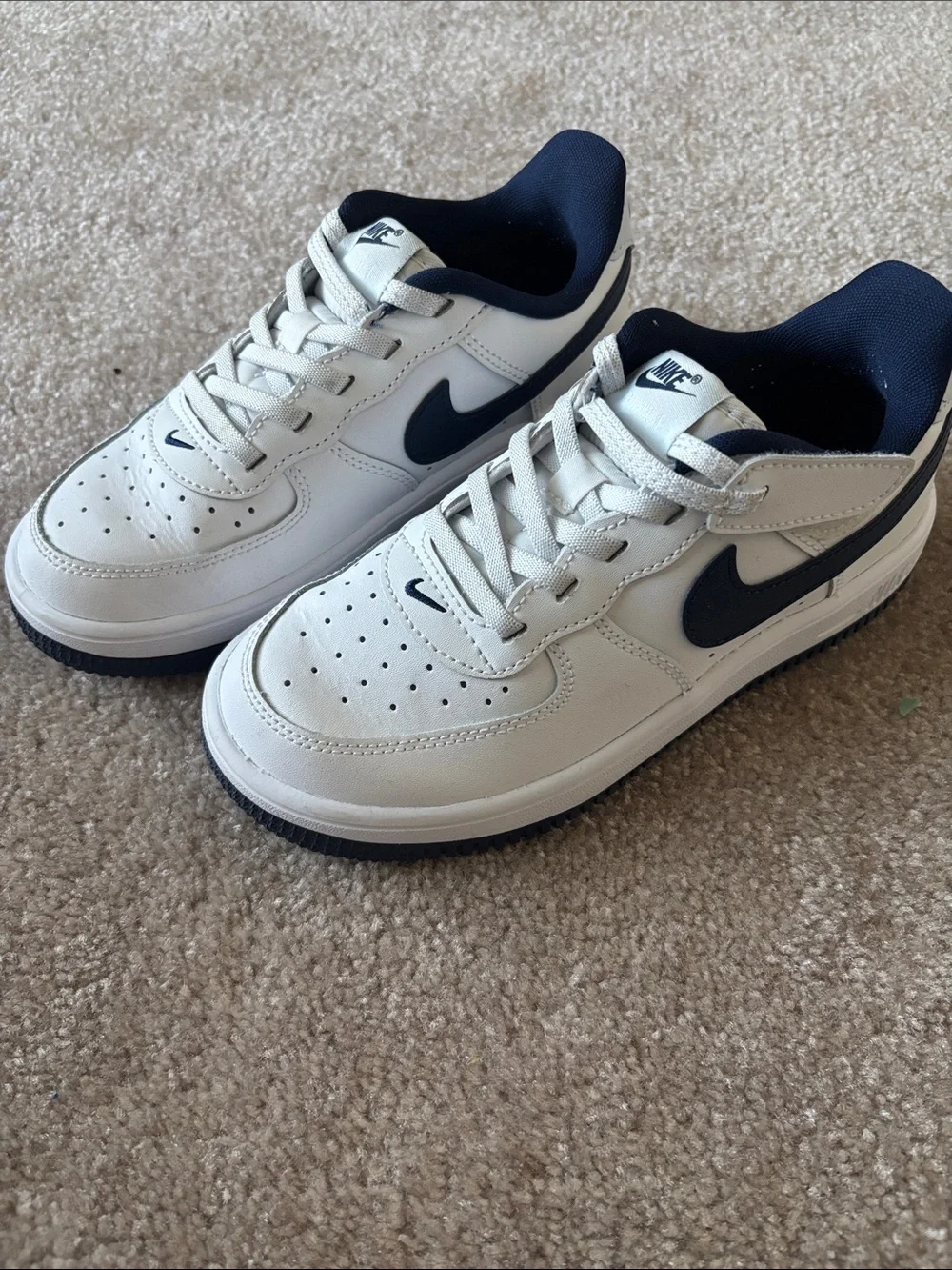 Nike White and Navy Low-Top Casual Sneakers